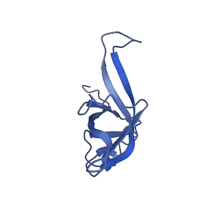 16591_8cdl_R_v1-6
80S S. cerevisiae ribosome with ligands in hybrid-2 pre-translocation (PRE-H2) complex