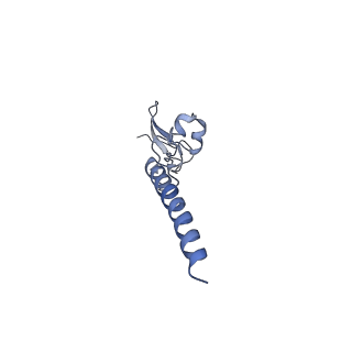 16591_8cdl_S_v1-5
80S S. cerevisiae ribosome with ligands in hybrid-2 pre-translocation (PRE-H2) complex