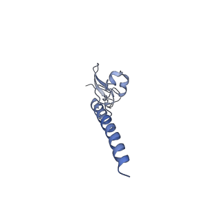 16591_8cdl_S_v1-6
80S S. cerevisiae ribosome with ligands in hybrid-2 pre-translocation (PRE-H2) complex