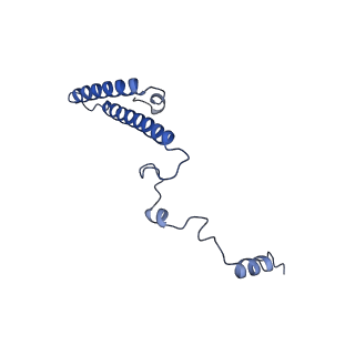 16591_8cdl_T_v1-6
80S S. cerevisiae ribosome with ligands in hybrid-2 pre-translocation (PRE-H2) complex