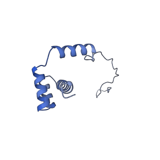 16591_8cdl_U_v1-5
80S S. cerevisiae ribosome with ligands in hybrid-2 pre-translocation (PRE-H2) complex