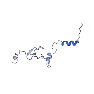 16591_8cdl_V_v1-5
80S S. cerevisiae ribosome with ligands in hybrid-2 pre-translocation (PRE-H2) complex