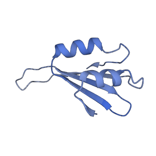 16591_8cdl_W_v1-5
80S S. cerevisiae ribosome with ligands in hybrid-2 pre-translocation (PRE-H2) complex