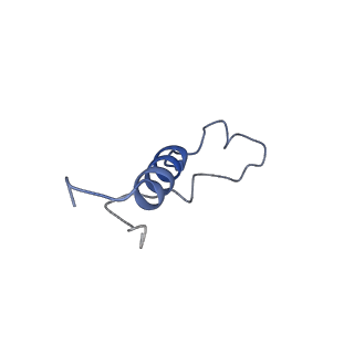 16591_8cdl_X_v1-6
80S S. cerevisiae ribosome with ligands in hybrid-2 pre-translocation (PRE-H2) complex