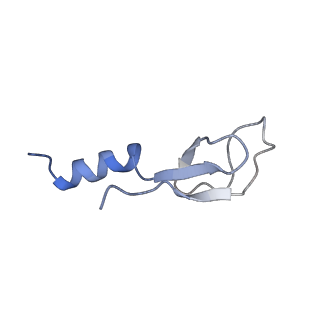 16591_8cdl_Y_v1-6
80S S. cerevisiae ribosome with ligands in hybrid-2 pre-translocation (PRE-H2) complex