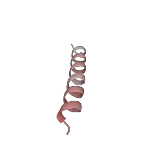 16591_8cdl_Z_v1-6
80S S. cerevisiae ribosome with ligands in hybrid-2 pre-translocation (PRE-H2) complex