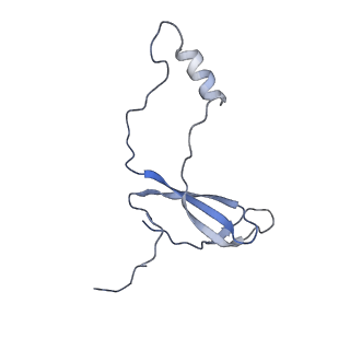 16591_8cdl_a_v1-5
80S S. cerevisiae ribosome with ligands in hybrid-2 pre-translocation (PRE-H2) complex