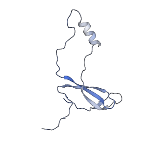 16591_8cdl_a_v1-6
80S S. cerevisiae ribosome with ligands in hybrid-2 pre-translocation (PRE-H2) complex