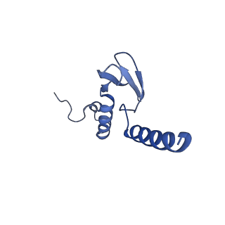 16591_8cdl_b_v1-5
80S S. cerevisiae ribosome with ligands in hybrid-2 pre-translocation (PRE-H2) complex