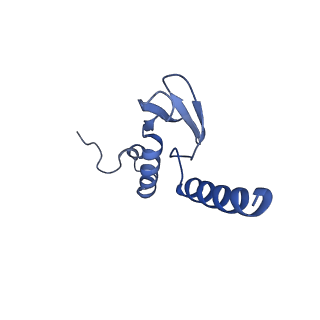 16591_8cdl_b_v1-6
80S S. cerevisiae ribosome with ligands in hybrid-2 pre-translocation (PRE-H2) complex