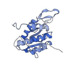 16591_8cdl_d_v1-5
80S S. cerevisiae ribosome with ligands in hybrid-2 pre-translocation (PRE-H2) complex