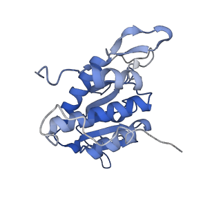 16591_8cdl_d_v1-6
80S S. cerevisiae ribosome with ligands in hybrid-2 pre-translocation (PRE-H2) complex