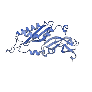 16591_8cdl_e_v1-5
80S S. cerevisiae ribosome with ligands in hybrid-2 pre-translocation (PRE-H2) complex