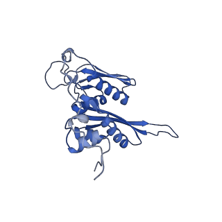 16591_8cdl_f_v1-5
80S S. cerevisiae ribosome with ligands in hybrid-2 pre-translocation (PRE-H2) complex
