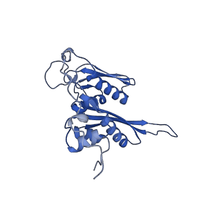 16591_8cdl_f_v1-6
80S S. cerevisiae ribosome with ligands in hybrid-2 pre-translocation (PRE-H2) complex