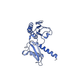 16591_8cdl_g_v1-6
80S S. cerevisiae ribosome with ligands in hybrid-2 pre-translocation (PRE-H2) complex