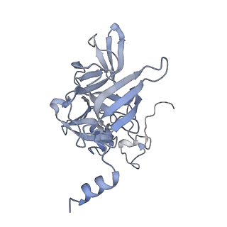 16591_8cdl_h_v1-5
80S S. cerevisiae ribosome with ligands in hybrid-2 pre-translocation (PRE-H2) complex