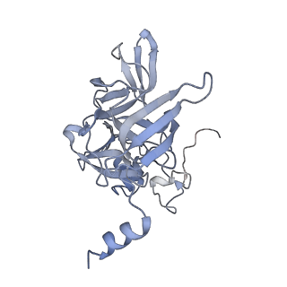 16591_8cdl_h_v1-6
80S S. cerevisiae ribosome with ligands in hybrid-2 pre-translocation (PRE-H2) complex