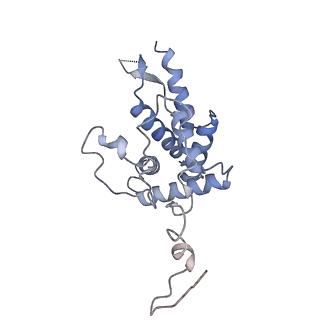 16591_8cdl_i_v1-5
80S S. cerevisiae ribosome with ligands in hybrid-2 pre-translocation (PRE-H2) complex