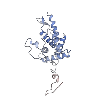 16591_8cdl_i_v1-6
80S S. cerevisiae ribosome with ligands in hybrid-2 pre-translocation (PRE-H2) complex