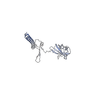 16591_8cdl_j_v1-5
80S S. cerevisiae ribosome with ligands in hybrid-2 pre-translocation (PRE-H2) complex