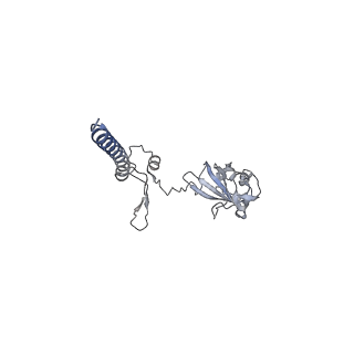 16591_8cdl_j_v1-6
80S S. cerevisiae ribosome with ligands in hybrid-2 pre-translocation (PRE-H2) complex