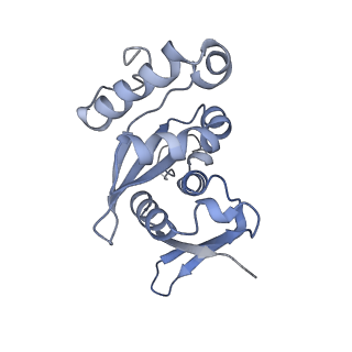 16591_8cdl_k_v1-5
80S S. cerevisiae ribosome with ligands in hybrid-2 pre-translocation (PRE-H2) complex
