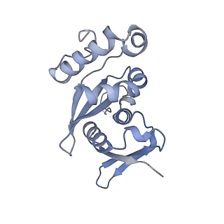 16591_8cdl_k_v1-6
80S S. cerevisiae ribosome with ligands in hybrid-2 pre-translocation (PRE-H2) complex