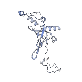 16591_8cdl_l_v1-5
80S S. cerevisiae ribosome with ligands in hybrid-2 pre-translocation (PRE-H2) complex