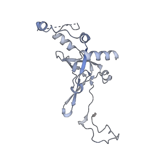 16591_8cdl_l_v1-6
80S S. cerevisiae ribosome with ligands in hybrid-2 pre-translocation (PRE-H2) complex