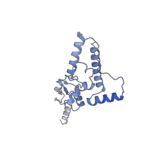 16591_8cdl_m_v1-5
80S S. cerevisiae ribosome with ligands in hybrid-2 pre-translocation (PRE-H2) complex
