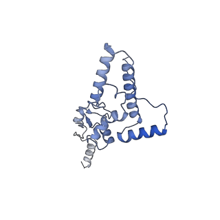 16591_8cdl_m_v1-6
80S S. cerevisiae ribosome with ligands in hybrid-2 pre-translocation (PRE-H2) complex