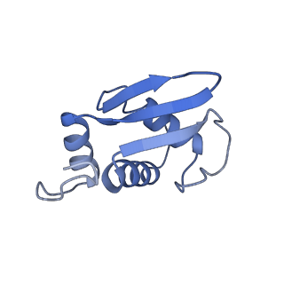 16591_8cdl_n_v1-6
80S S. cerevisiae ribosome with ligands in hybrid-2 pre-translocation (PRE-H2) complex