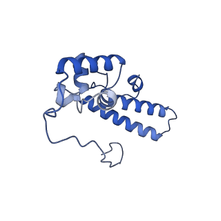 16591_8cdl_p_v1-5
80S S. cerevisiae ribosome with ligands in hybrid-2 pre-translocation (PRE-H2) complex