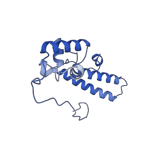 16591_8cdl_p_v1-6
80S S. cerevisiae ribosome with ligands in hybrid-2 pre-translocation (PRE-H2) complex