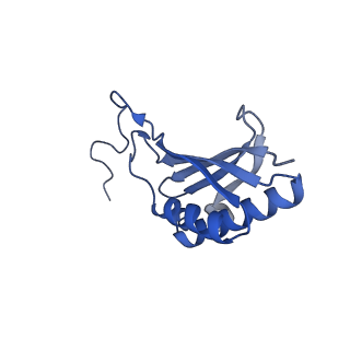 16591_8cdl_q_v1-5
80S S. cerevisiae ribosome with ligands in hybrid-2 pre-translocation (PRE-H2) complex
