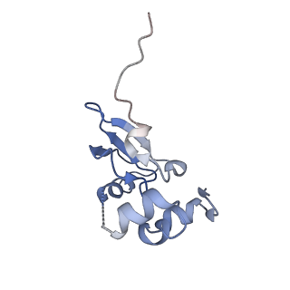 16591_8cdl_r_v1-5
80S S. cerevisiae ribosome with ligands in hybrid-2 pre-translocation (PRE-H2) complex