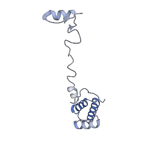 16591_8cdl_t_v1-5
80S S. cerevisiae ribosome with ligands in hybrid-2 pre-translocation (PRE-H2) complex