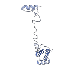 16591_8cdl_t_v1-6
80S S. cerevisiae ribosome with ligands in hybrid-2 pre-translocation (PRE-H2) complex