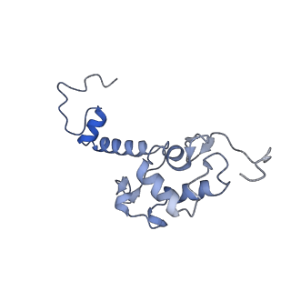 16591_8cdl_u_v1-6
80S S. cerevisiae ribosome with ligands in hybrid-2 pre-translocation (PRE-H2) complex