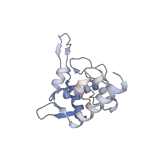 16591_8cdl_v_v1-5
80S S. cerevisiae ribosome with ligands in hybrid-2 pre-translocation (PRE-H2) complex