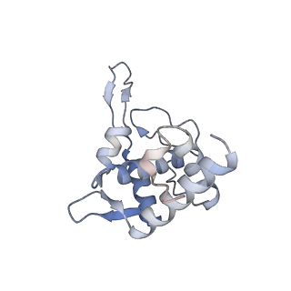 16591_8cdl_v_v1-6
80S S. cerevisiae ribosome with ligands in hybrid-2 pre-translocation (PRE-H2) complex