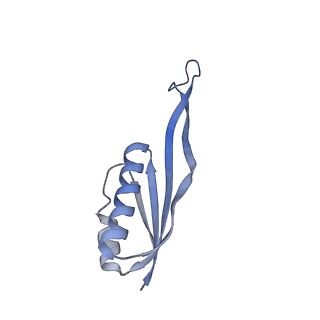 16591_8cdl_w_v1-5
80S S. cerevisiae ribosome with ligands in hybrid-2 pre-translocation (PRE-H2) complex