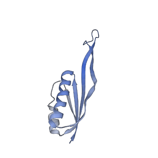 16591_8cdl_w_v1-6
80S S. cerevisiae ribosome with ligands in hybrid-2 pre-translocation (PRE-H2) complex