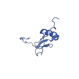 16591_8cdl_x_v1-5
80S S. cerevisiae ribosome with ligands in hybrid-2 pre-translocation (PRE-H2) complex