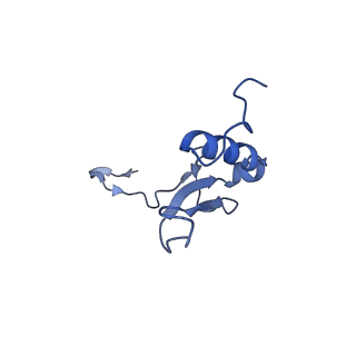 16591_8cdl_x_v1-6
80S S. cerevisiae ribosome with ligands in hybrid-2 pre-translocation (PRE-H2) complex