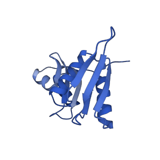 16591_8cdl_y_v1-5
80S S. cerevisiae ribosome with ligands in hybrid-2 pre-translocation (PRE-H2) complex