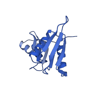 16591_8cdl_y_v1-6
80S S. cerevisiae ribosome with ligands in hybrid-2 pre-translocation (PRE-H2) complex