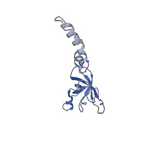 16591_8cdl_z_v1-5
80S S. cerevisiae ribosome with ligands in hybrid-2 pre-translocation (PRE-H2) complex