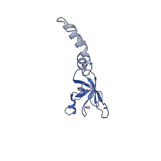 16591_8cdl_z_v1-6
80S S. cerevisiae ribosome with ligands in hybrid-2 pre-translocation (PRE-H2) complex